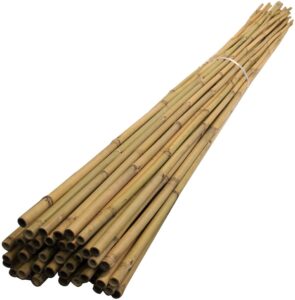 bamboo garden cane ten pack